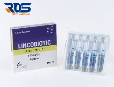 LINCOBIOTIC 600MG INJ (Lincomysin) - Epharma